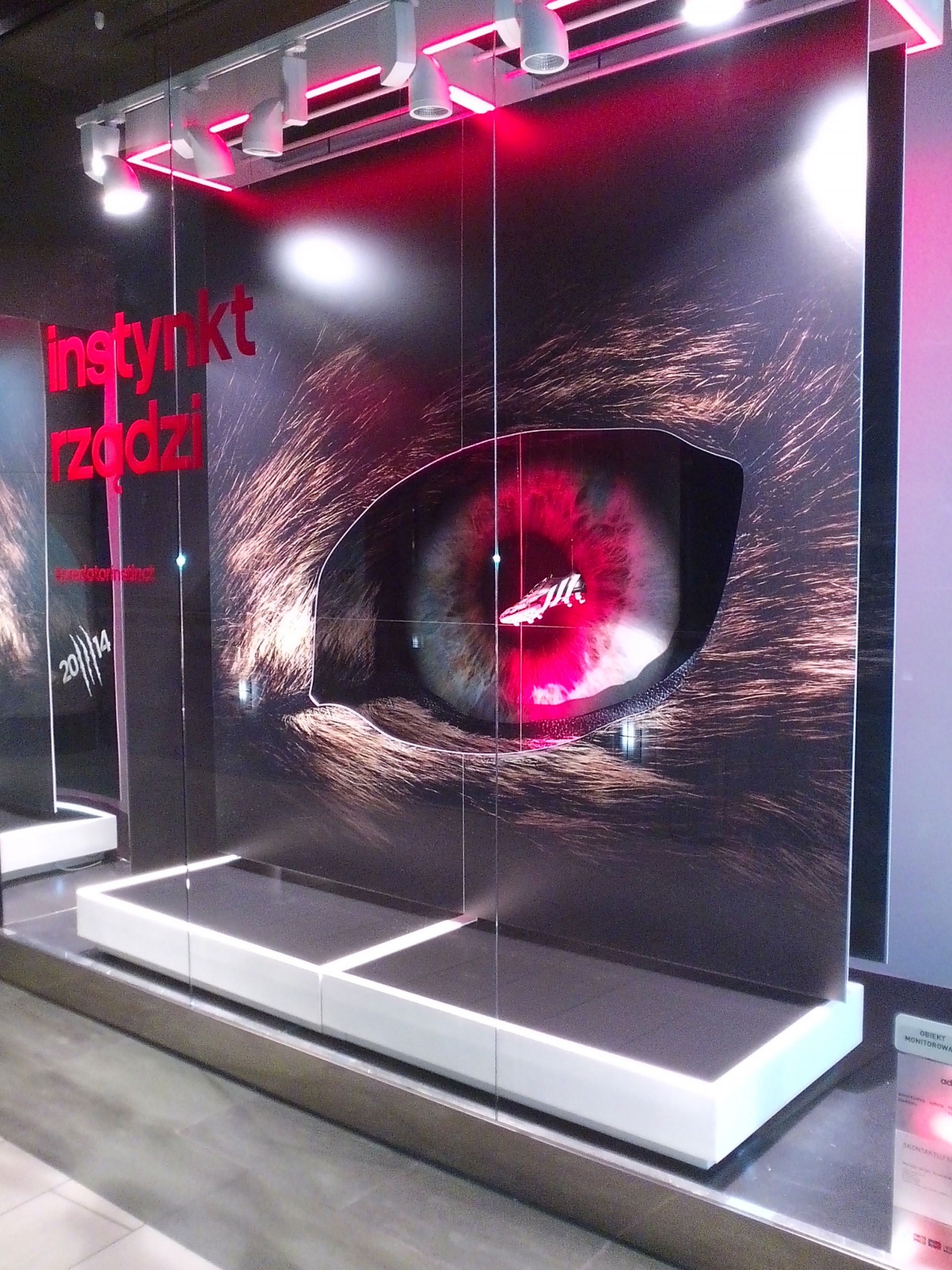 Witryna sklepowa Adidas – Instynkt rządzi